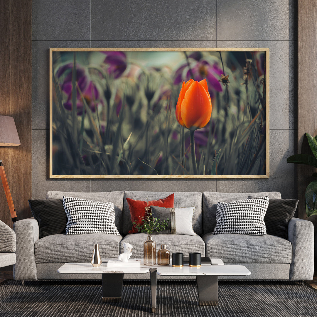 Tulipano in Fiore